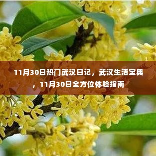 武汉日记,揭秘城市生活宝典,全方位体验指南(11月30日版)