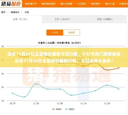 揭秘往年11月30日全国猪价行情,今日走势深度解析与小红书热门推荐