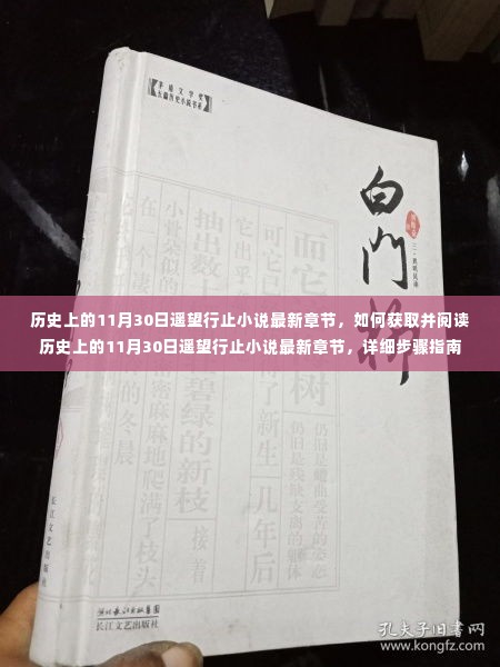 历史上的11月30日遥望行止小说最新章节获取与阅读指南