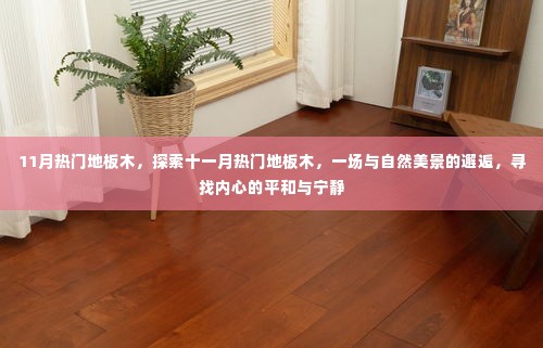 十一月热门地板木,与自然美景的邂逅,寻找内心的宁静