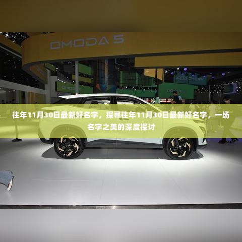 探寻往年11月30日最新好名字,深度探讨名字之美