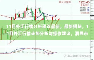 揭秘最新行情,深度解析11月外汇走势与操作建议,洞悉市场趋势!