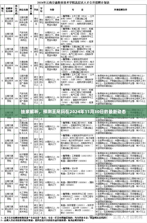 独家预测,王尼玛2024年11月30日最新动态揭秘