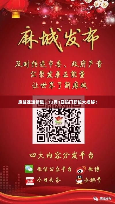 麻城速递新星热门职位揭秘,12月1日岗位亮点全解析!
