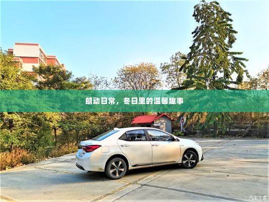 朗动日常,冬日温馨趣事记录