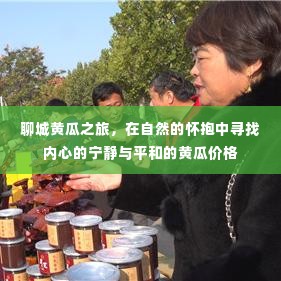 聊城黄瓜之旅,探寻内心宁静与平和的黄瓜价格之旅