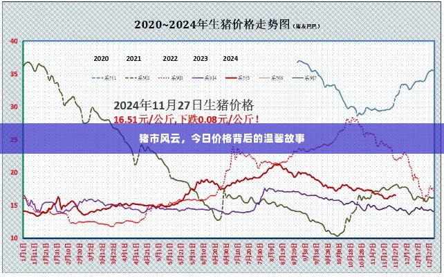 猪市风云背后的温馨故事,今日价格揭秘
