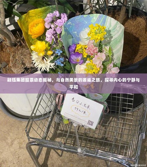 融钰集团股票动态深度解析,邂逅自然美景,探寻内心宁静与平和的旅程