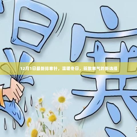 最新排寒针,冬日温暖必备,驱散寒气的新选择