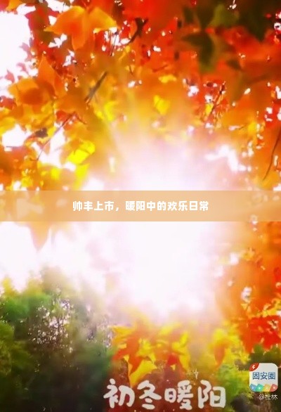 帅丰上市,暖阳下的欢乐日常