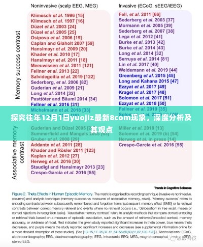 深度探究,历年12月1日yuojiz最新现象8com及其观点分析