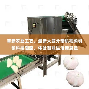 风流儒雅 第5页