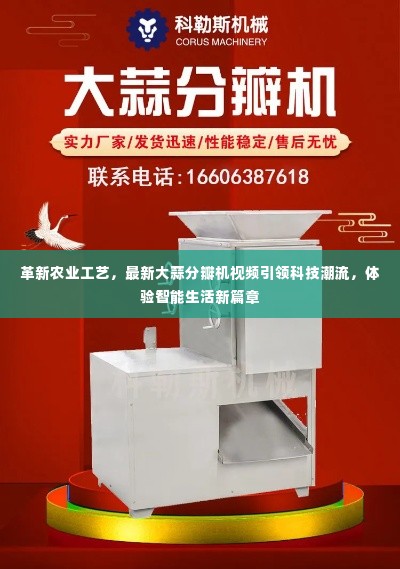革新农业工艺,智能大蒜分瓣机视频引领科技农业新篇章,体验智能生活革新