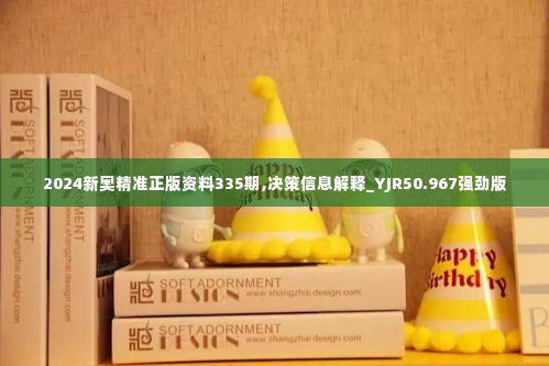 2024新奥精准正版资料335期,决策信息解释_YJR50.967强劲版