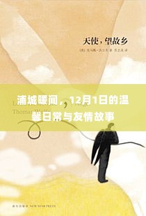 浦城暖闻,12月1日的温馨日常与友情交织的故事