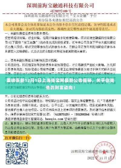 重磅更新,上海钱宝网最新公告揭秘财富动向,关乎你我他!