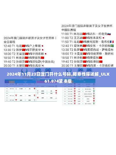 2024年11月23日澳门开什么号码,释意性描述解_ULX61.874紧凑版