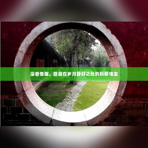 深巷中的科研瑰宝,岁月静好之处的奇趣探索