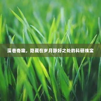 深巷中的科研瑰宝,岁月静好之处的奇趣探索