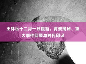 王怀岳履新背后,揭秘背景、事件回顾与时代印记