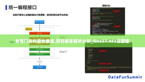 新奥门资料最快最准,即时解答解析分析_GAS37.453互联版