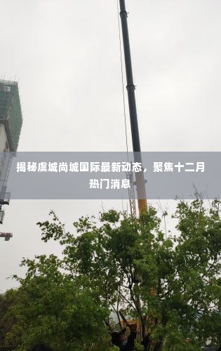 虞城尚城国际十二月最新动态聚焦,揭秘热门消息