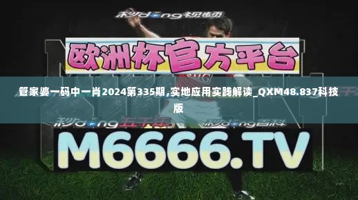 管家婆一码中一肖2024第335期,实地应用实践解读_QXM48.837科技版
