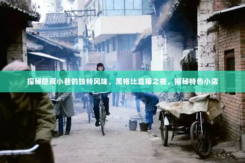 探秘黑格比直播之夜,小巷特色小店的神秘风味揭秘