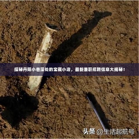 丹阳小巷深处的宝藏小店,兼职招聘信息全揭秘!