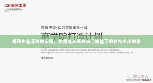 小巷宝藏揭秘,友邦成长基金背后的独特小店故事