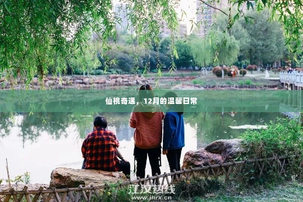 仙桃奇遇,12月的温馨日常之旅
