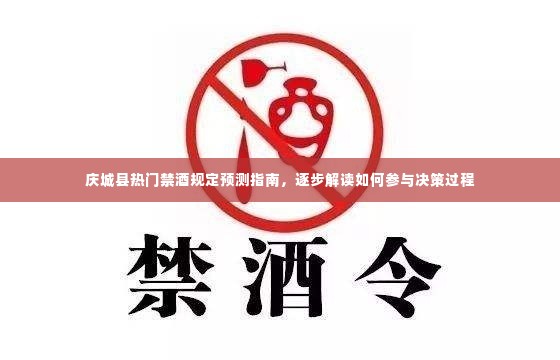 庆城县禁酒规定预测指南,参与决策过程的逐步解读