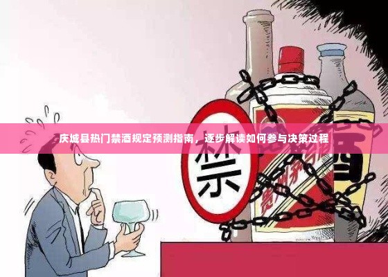 庆城县禁酒规定预测指南,参与决策过程的逐步解读