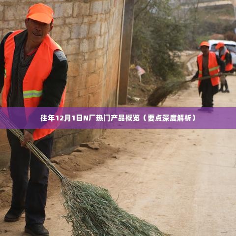 N厂热门产品概览深度解析,历年12月1日回顾