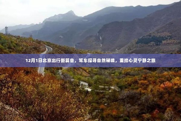 北京驾车探寻自然秘境之旅,心灵宁静之旅启程