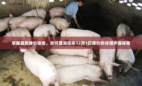 范张鸡黍 第5页