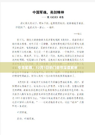 中华军魂,热门章节深度解析与探讨(12月1日特辑)