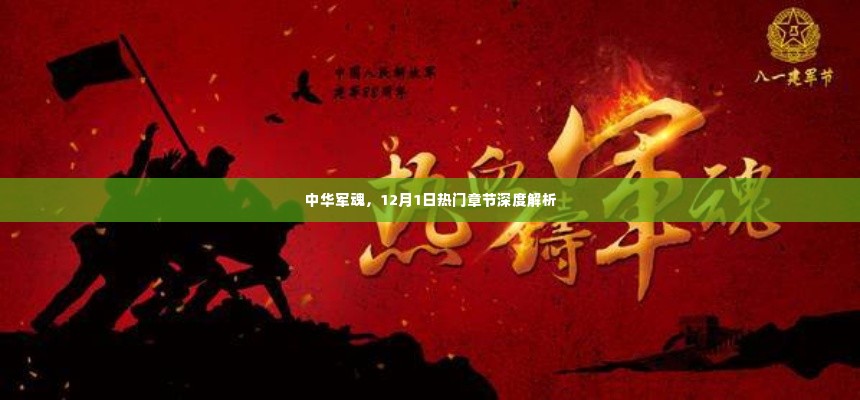 中华军魂,热门章节深度解析与探讨(12月1日特辑)