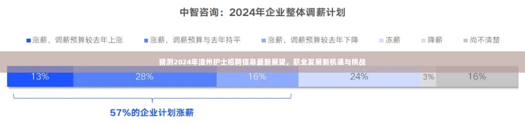 2024年漳州护士招聘展望，新机遇与挑战中的职业发展