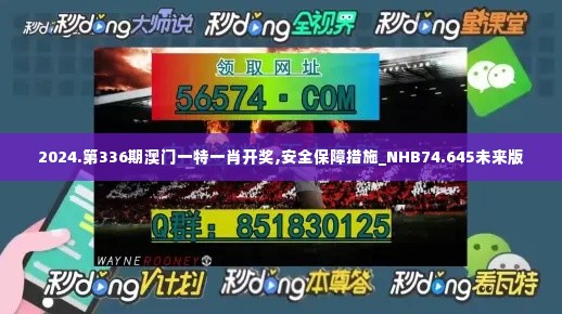 2024.第336期澳门一特一肖开奖,安全保障措施_NHB74.645未来版