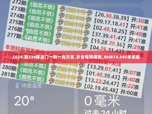 2024.第336期澳门一特一肖开奖,安全保障措施_NHB74.645未来版