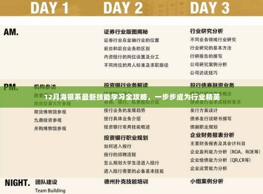 12月海银系技能学习全攻略,迈向行业精英的必经之路