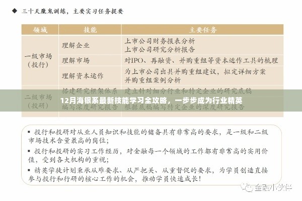 12月海银系技能学习全攻略,迈向行业精英的必经之路