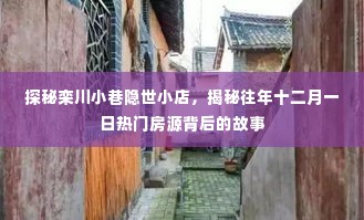 探秘栾川小巷隐世小店与十二月一日热门房源背后的故事