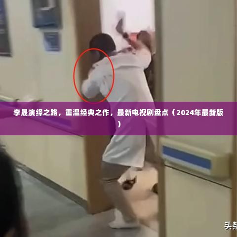 李晟演绎之路回顾,经典之作与最新电视剧盘点(2024最新版)