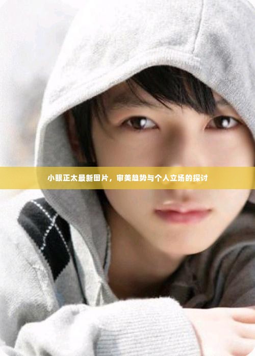 小眼正太最新图片,审美趋势下的个性立场探讨