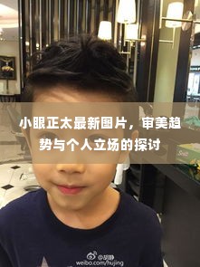 小眼正太最新图片,审美趋势下的个性立场探讨