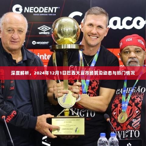 巴西大豆市场前沿动态与热门情况深度解析(2024年12月1日)