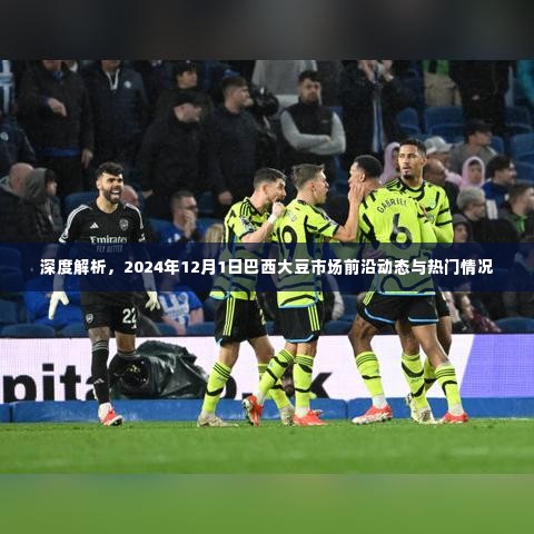 巴西大豆市场前沿动态与热门情况深度解析（2024年12月1日）