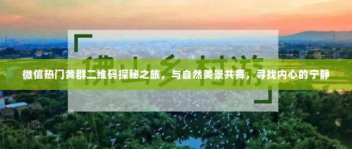 微信热门黄群二维码探秘之旅,自然美景与心灵宁静的寻觅之旅